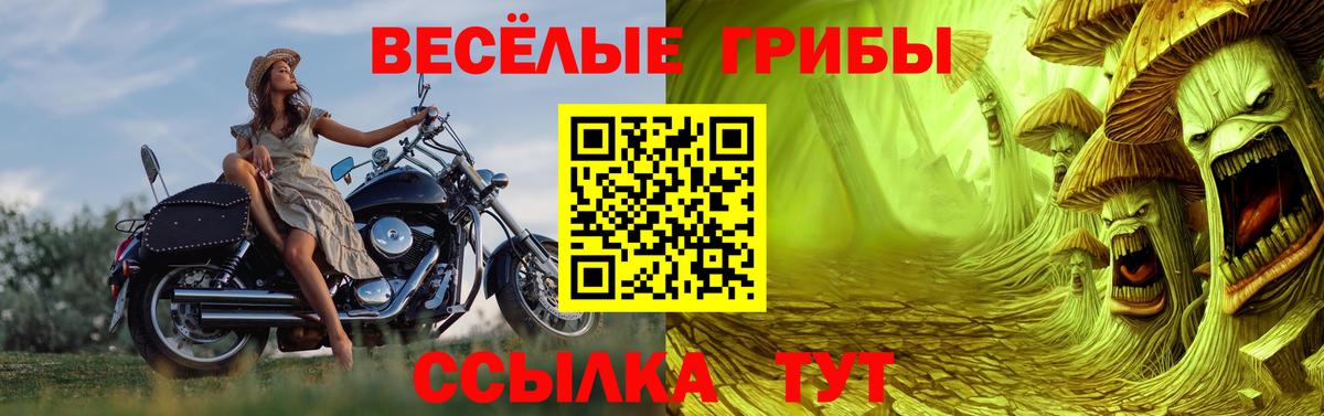 магазин    Псилоцибиновые грибы GOLDEN TEACHER  Обь  Вход с VPN  Галлюциногенные грибы прущие грибы 